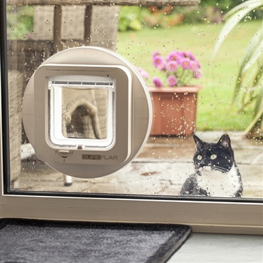 Fitted Cat-flaps in Glass & Doors Suffolk