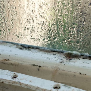 Eliminating Condensation in Double Glazed Windows in Suffolk & Essex