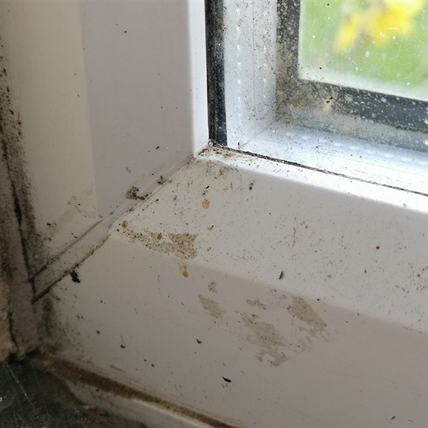 Dirty UPVC window frames