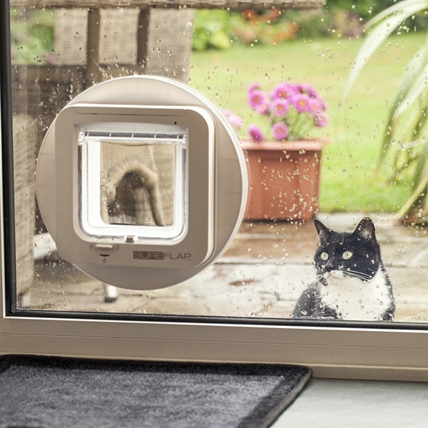 grey cat flap