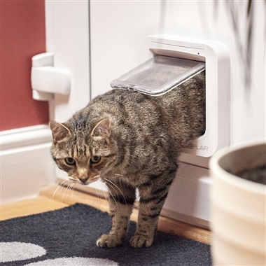 Fitted Cat-flaps in Doors Suffolk