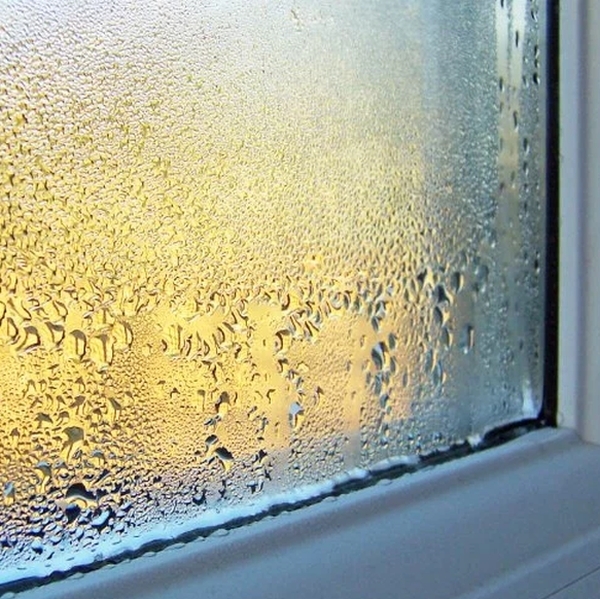 Misted Window Repairs